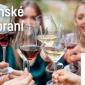 Karlínské vinobraní