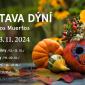 Výstava dýní/ Día de los Muertos