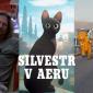 Silvestr v Aeru