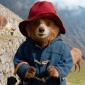 RODINNÉ PŘEDSTAVENÍ | Paddington v džungli