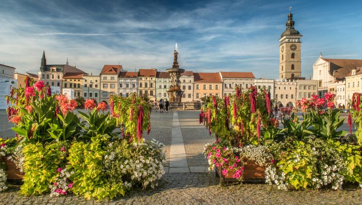 Na vlně kultury v Českých Budějovicích