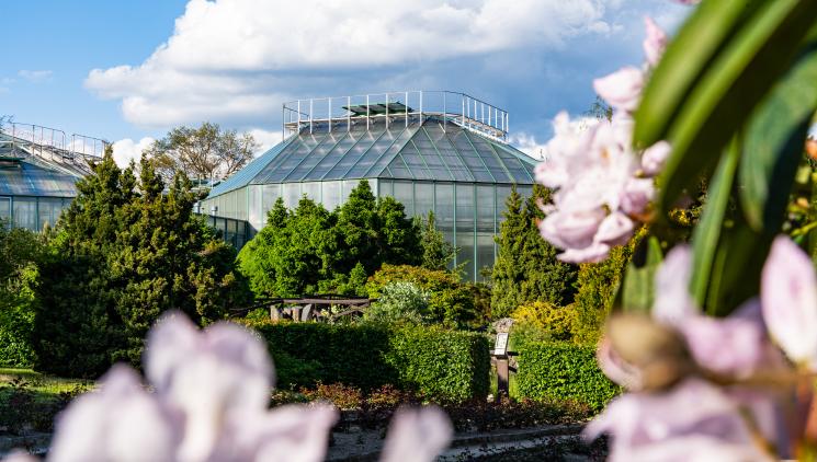 BOTANICKÁ ZAHRADA V LIBERCI VÁS OHROMÍ